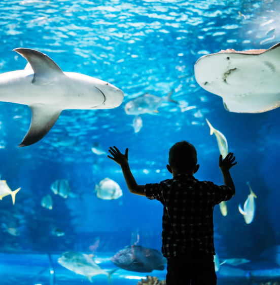 Gardaland SEA LIFE Aquarium